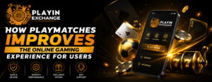 How Playmatches Improves the Online Gaming Experience for Users