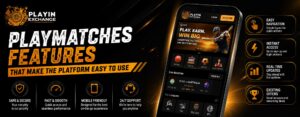 Playmatches Features That Make the Platform Easy to Use
