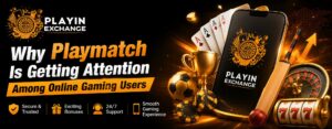 Why Playmatch Is Getting Attention Among Online Gaming Users