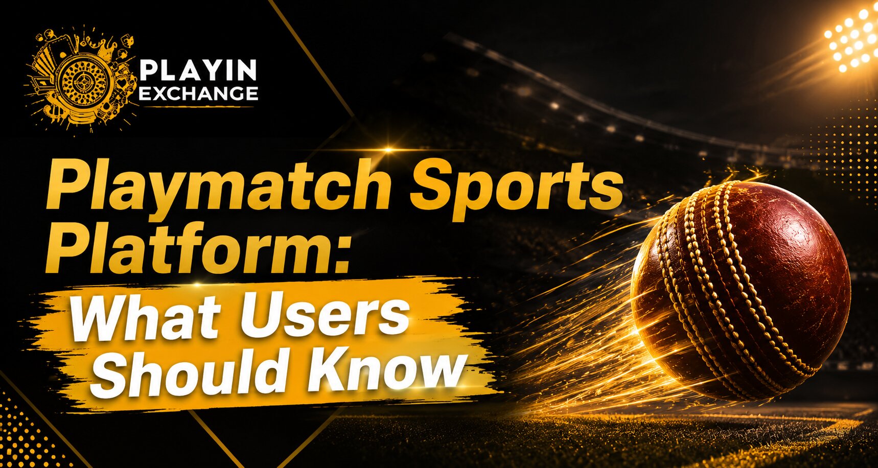 Playmatch Sports Platform: What Users Should Know