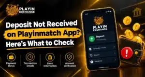 Deposit Not Received on Playinmatch App? Here’s What to Check