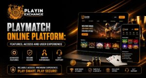 Playmatch Online Platform: Features, Access and User Experience